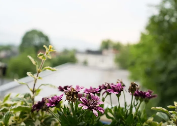 Rainbow Z Prywatnym Parkingiem 아파트 비엘스코-비아와